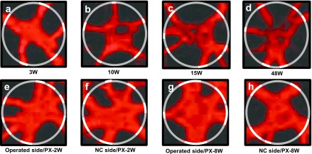 Fig. 10.