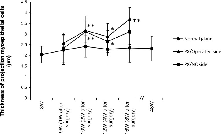 Fig. 11.