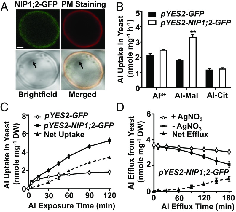 Fig. 4.