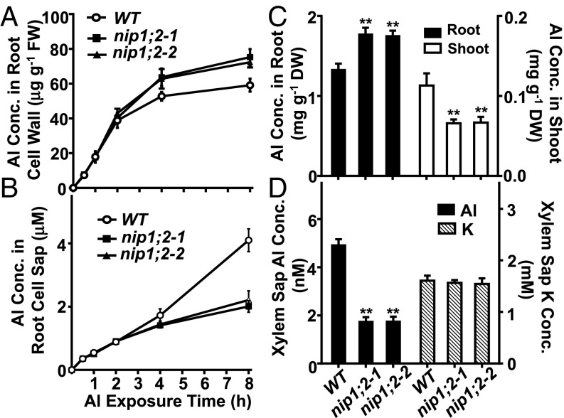 Fig. 3.