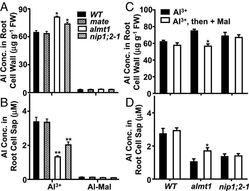 Fig. 5.