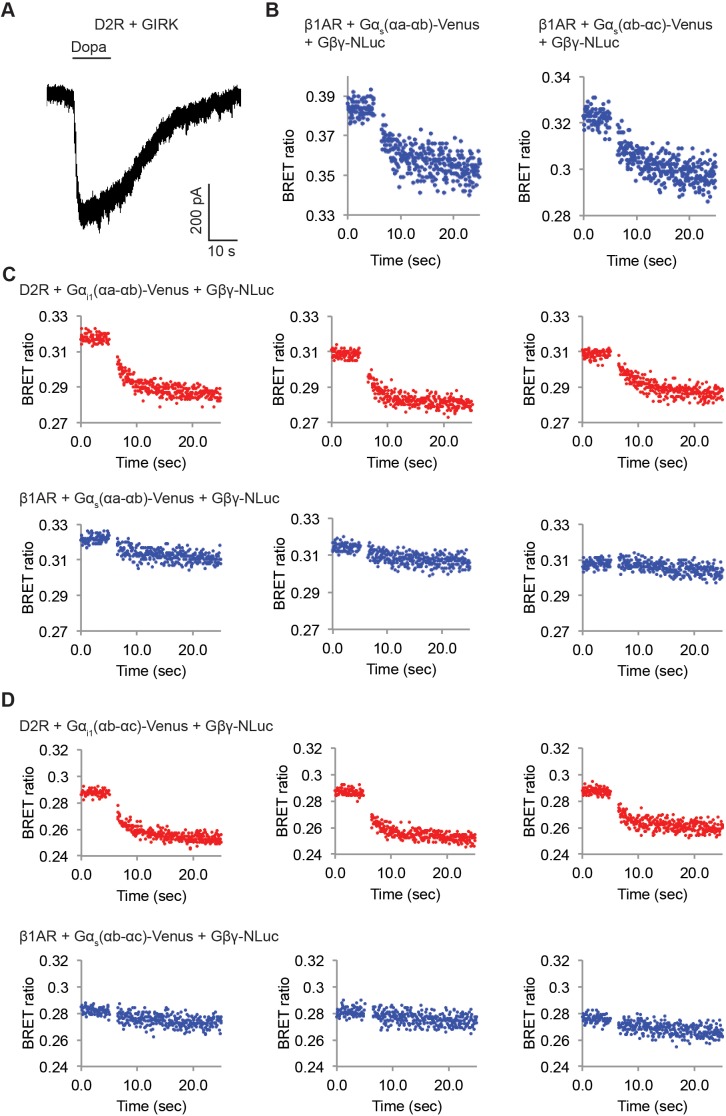 Figure 6—figure supplement 2.