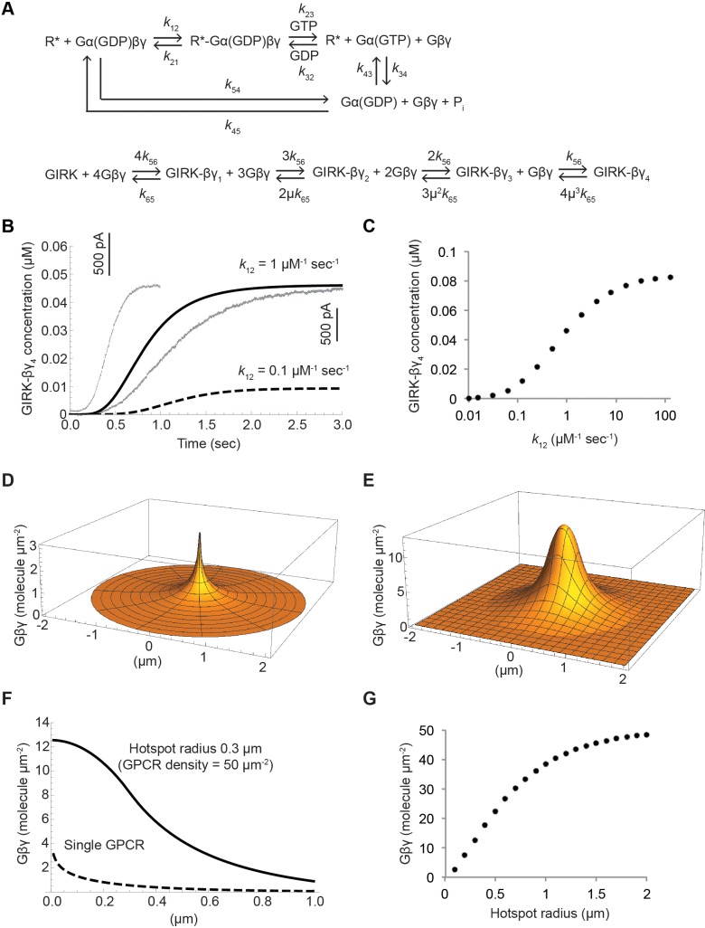 Figure 7.