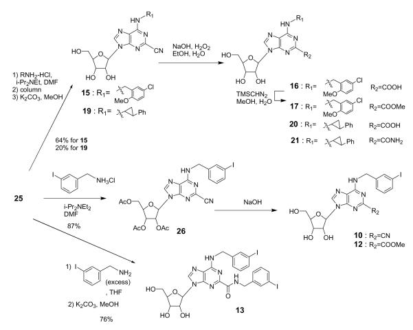 Scheme 2