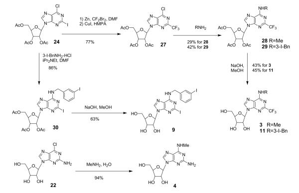 Scheme 3