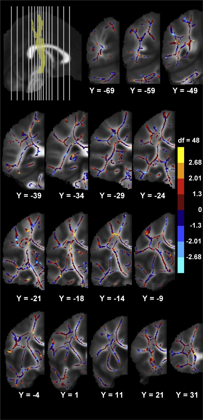 Fig. 7