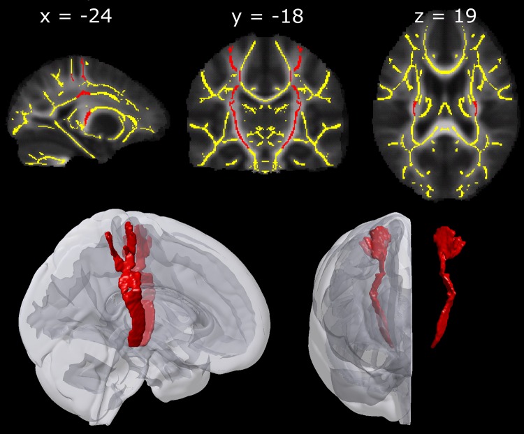 Fig. 2