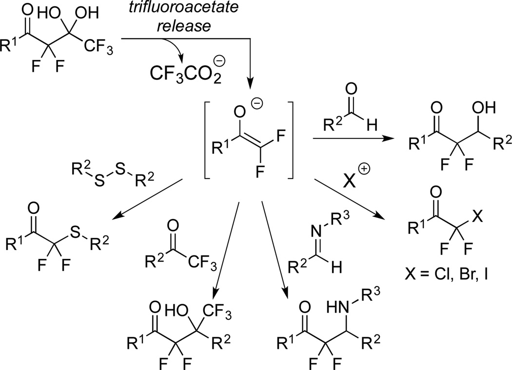 Scheme 2