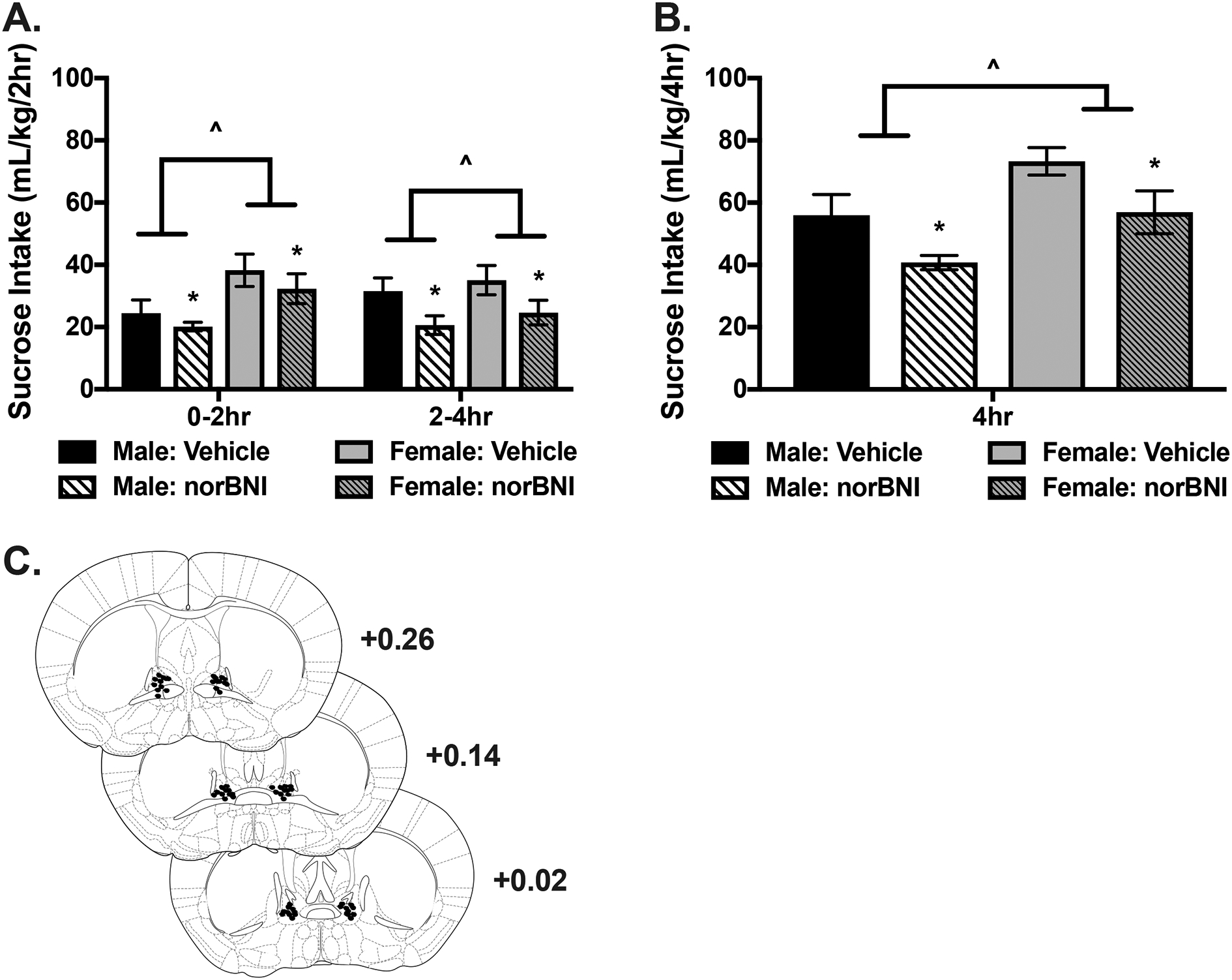 Fig. 2: