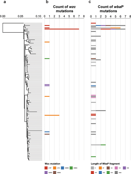 Fig. 3 |