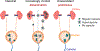 Fig. 4 |