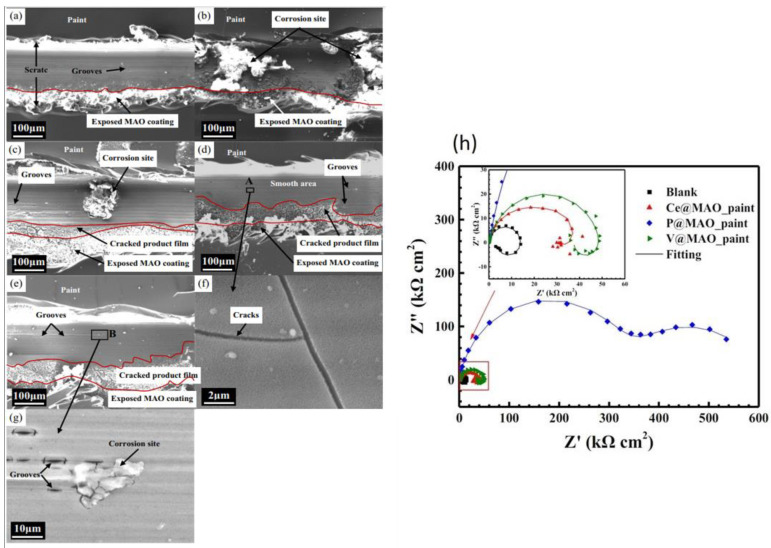 Figure 24