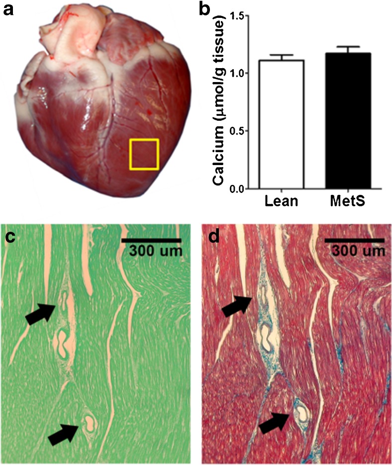 Fig. 5