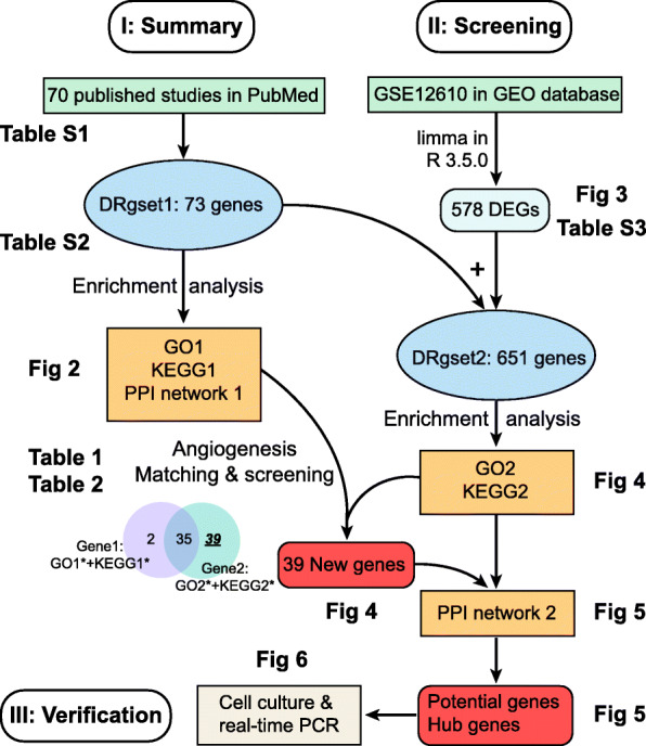 Comprehensive analysis of angiogenesis-related genes and pathways in ...