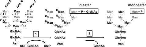 FIGURE 1.