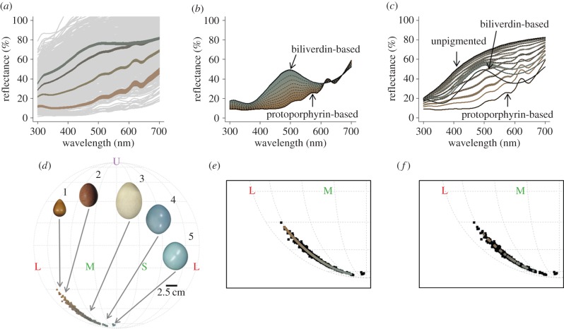 Figure 2.