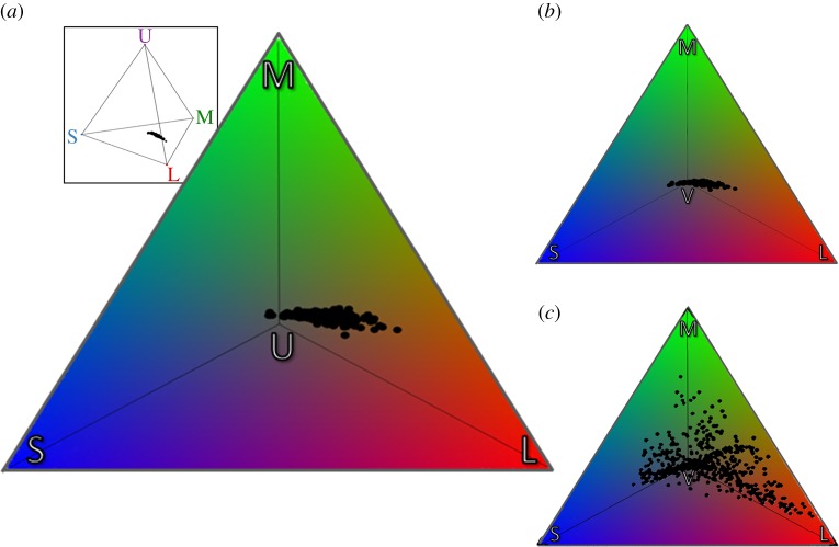 Figure 1.