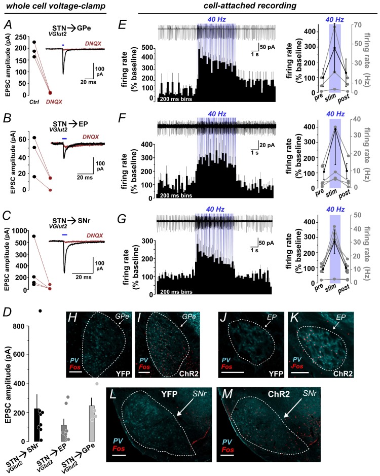 Figure 1—figure supplement 1.