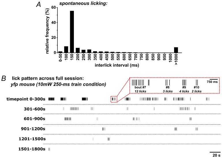 Figure 2—figure supplement 2.