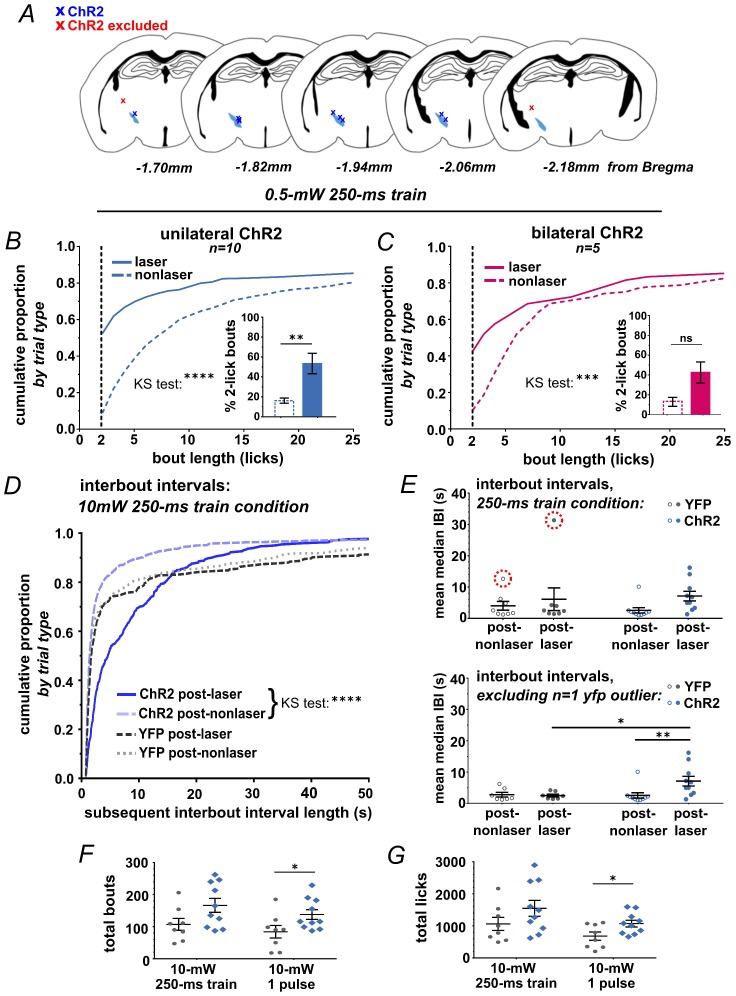 Figure 2—figure supplement 1.