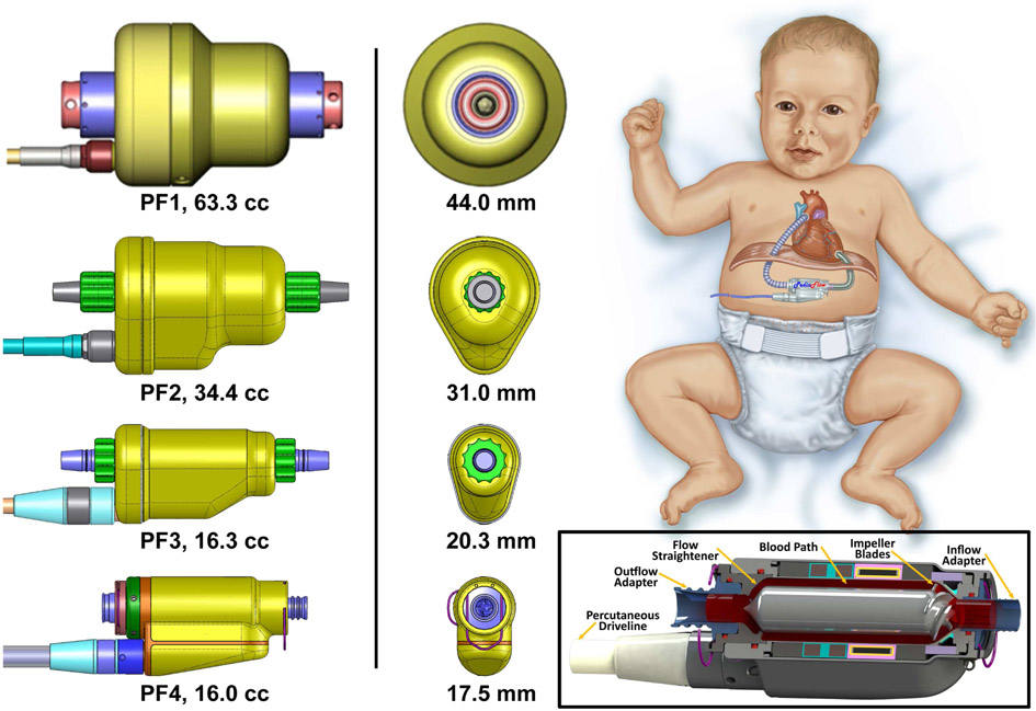 Figure 1: