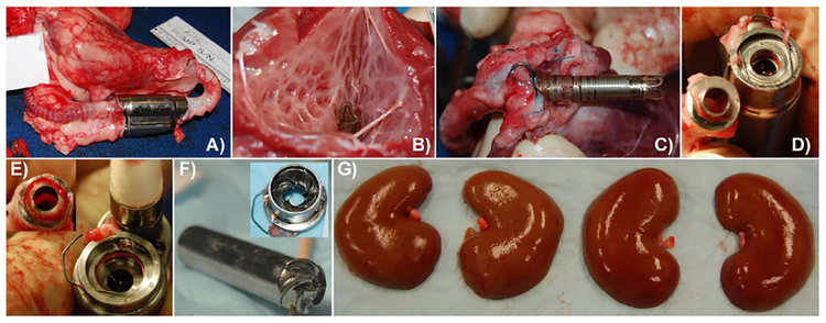 Figure 7: