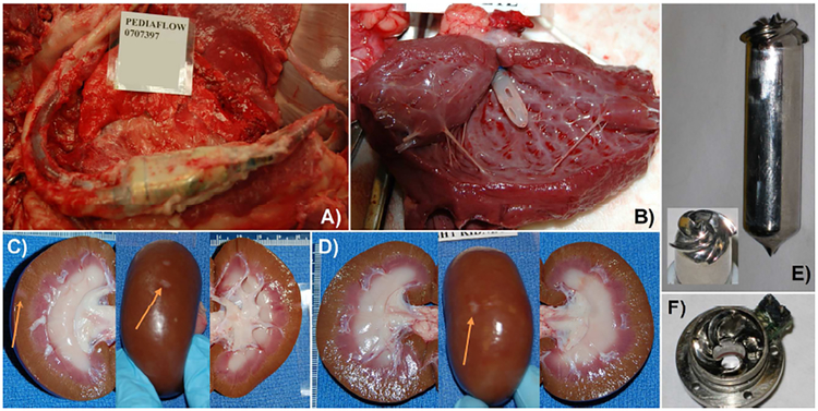 Figure 5: