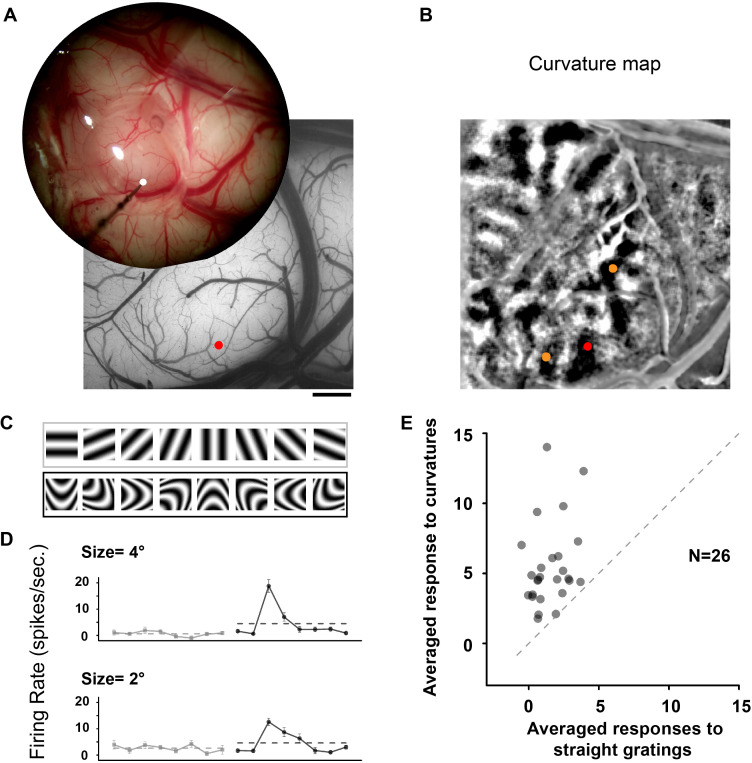 Figure 2—figure supplement 9.