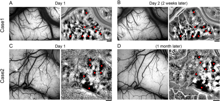 Figure 2—figure supplement 5.