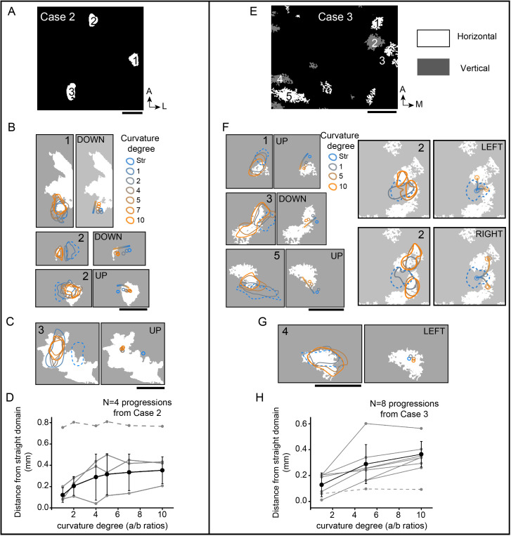 Figure 7—figure supplement 1.