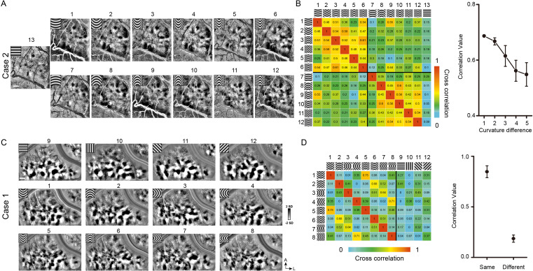 Figure 3—figure supplement 2.