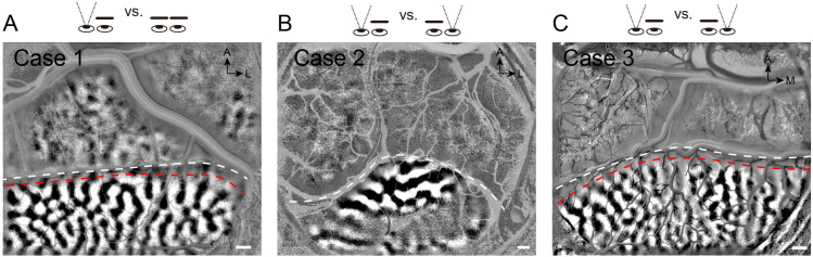 Figure 2—figure supplement 11.