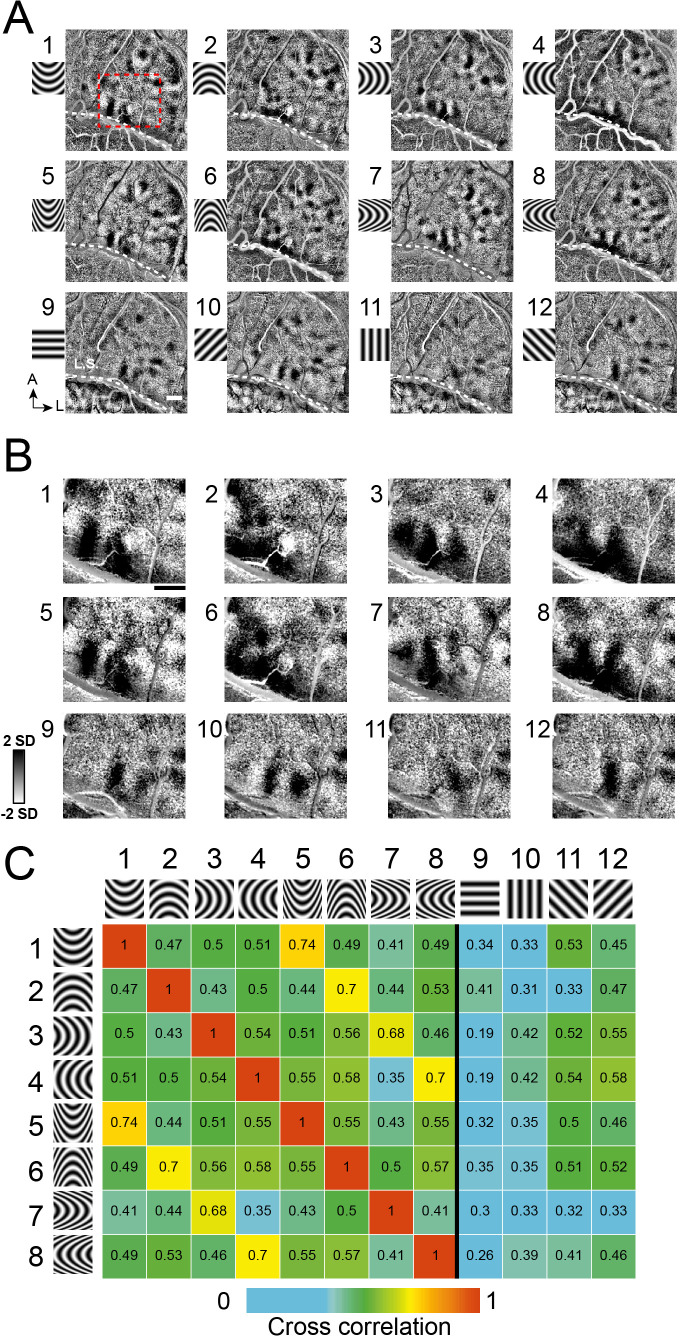 Figure 4.