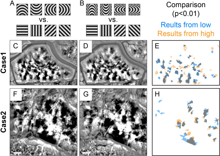 Figure 2—figure supplement 4.