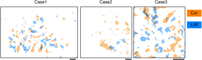 Figure 2—figure supplement 3.