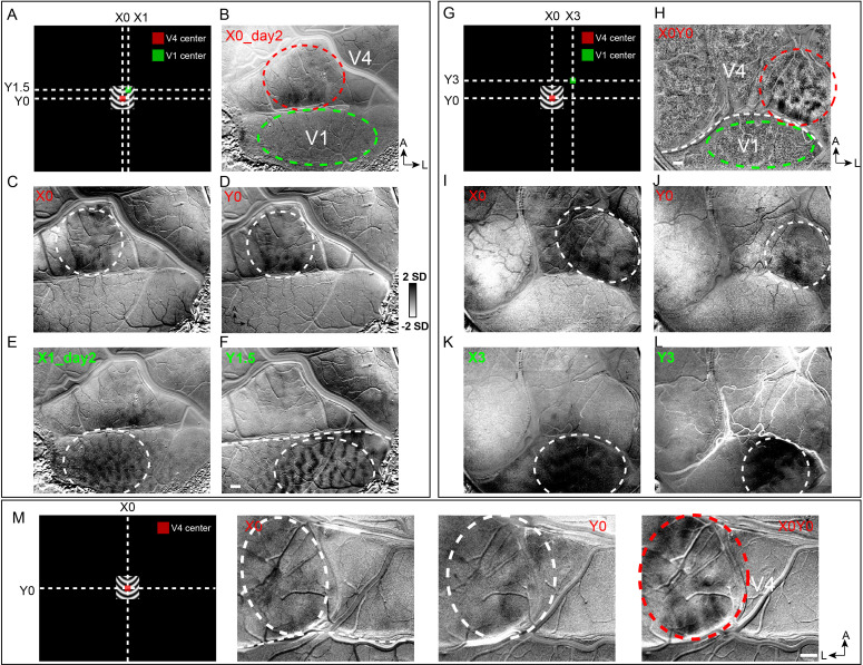 Figure 2—figure supplement 2.