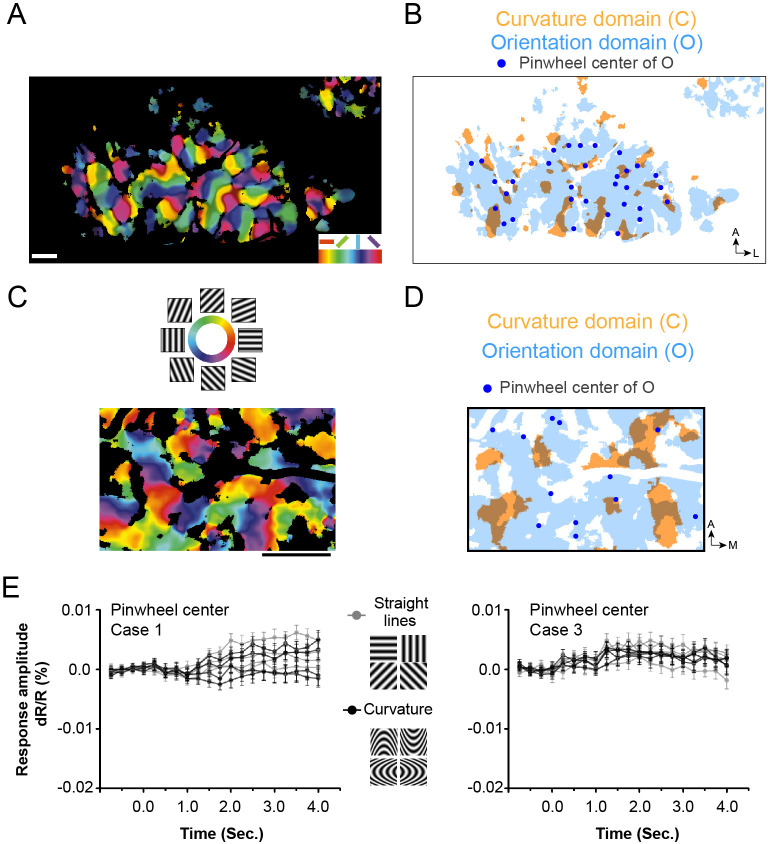 Figure 2—figure supplement 12.