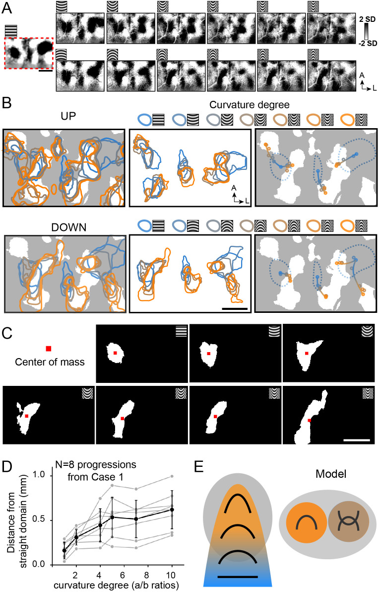 Figure 7.