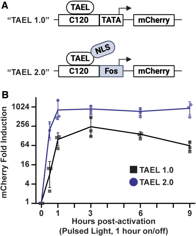 FIG. 3.