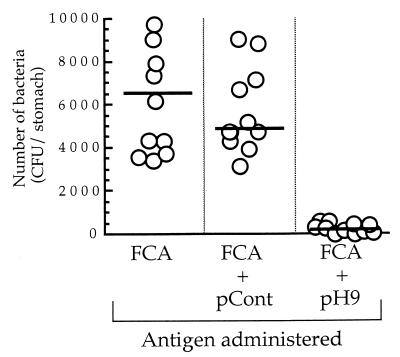 FIG. 6