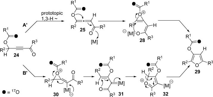 Scheme 6