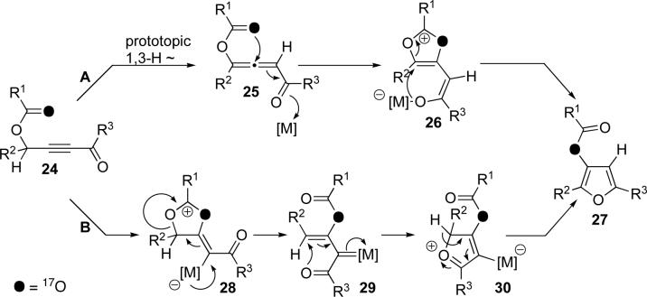 Scheme 5