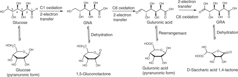 Fig. 5