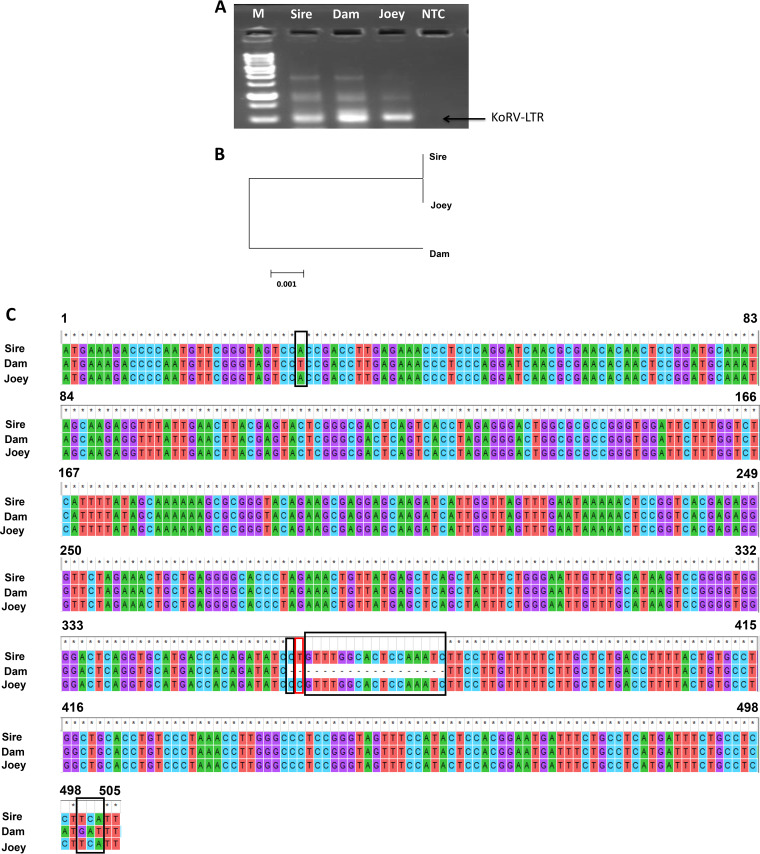 FIG 6