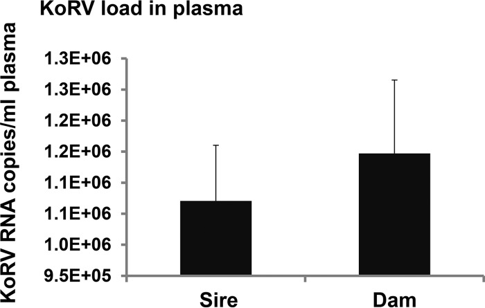 FIG 5