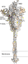 FIG 6