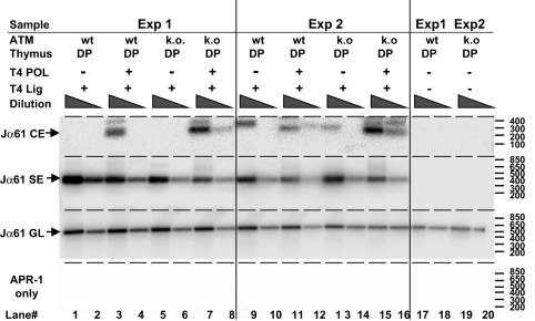 Fig. 5.