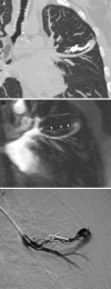Fig. 7