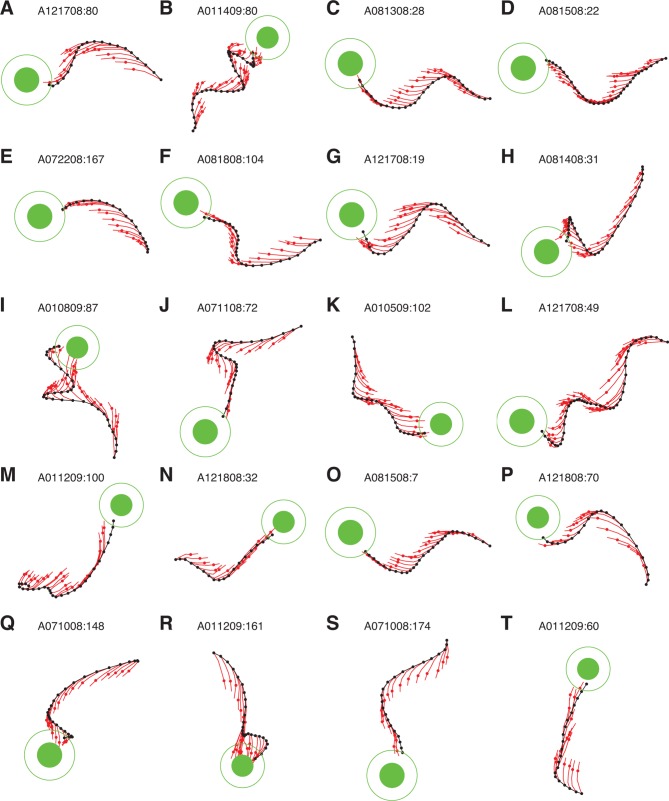 Figure 4—figure supplement 1.