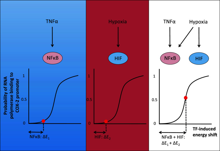 Fig. 6